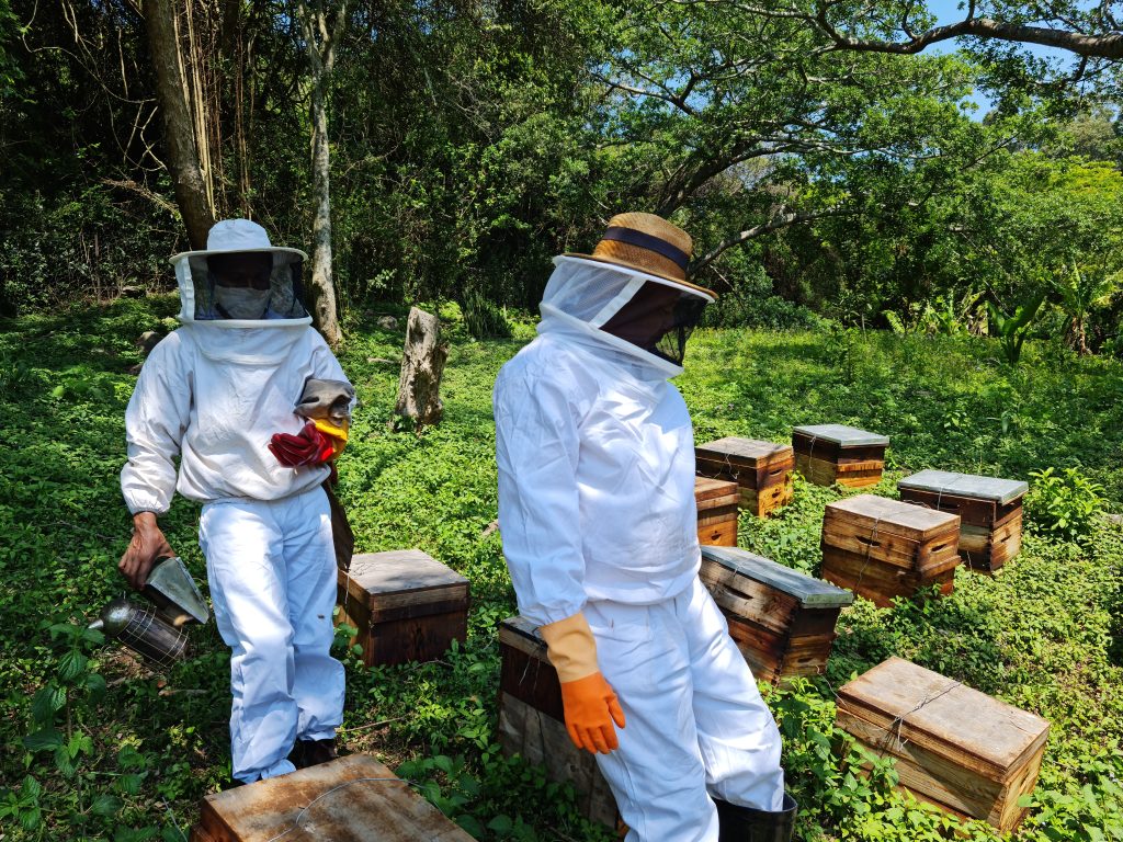 BEE SPIRITS 2023 (14-18 August 2023, Hole-In-The Wall, Eastern Cape)